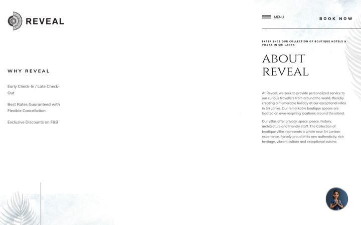 Screenshot of revealthecollection.com