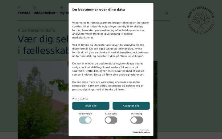 Zrzut ekranu ribekatedralskole.dk