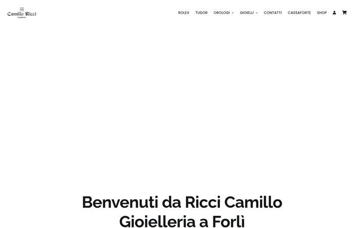 riccicamillo.com