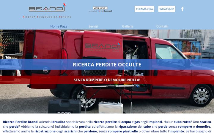 ricercaperditebrandi.it