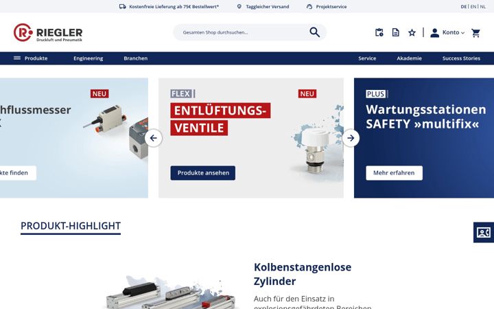 Screenshot of riegler.de