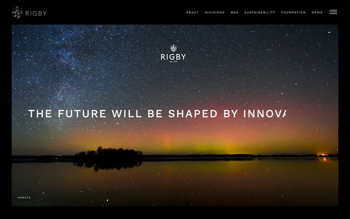 rigbygroupplc.com