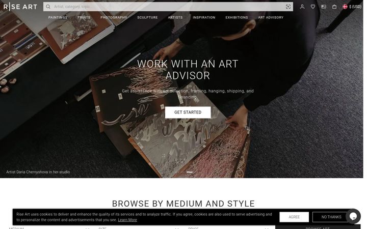 Screenshot of riseart.com