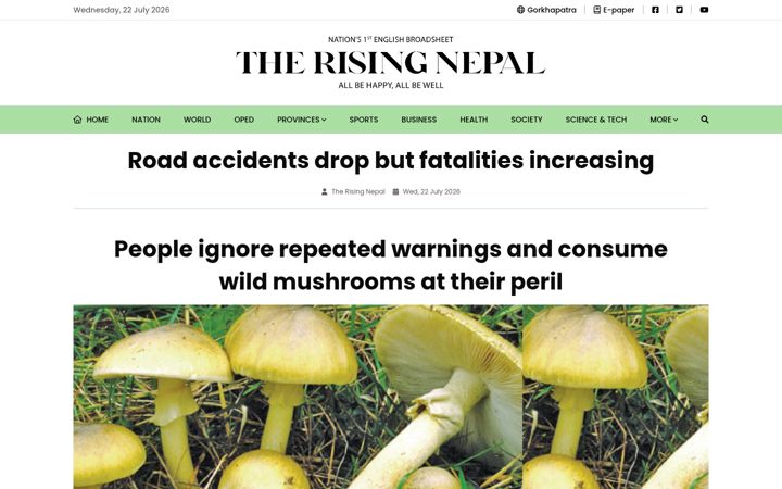 Screenshot of risingnepaldaily.com