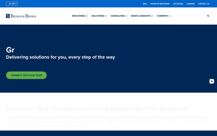 Screenshot of risk-strategies.com