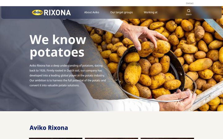 Skjámynd af rixona.com