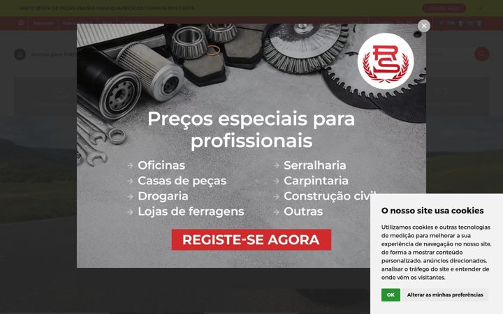 Screenshot of rocha-soares.com