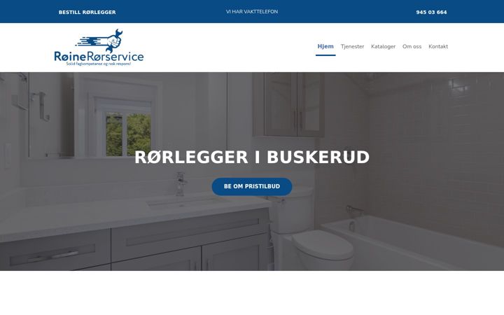 Kuvakaappaus sivustosta roinerorservice.no