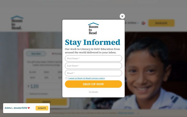 Screenshot of roomtoread.org