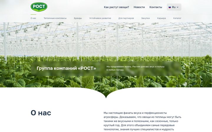 rostgroup.ru
