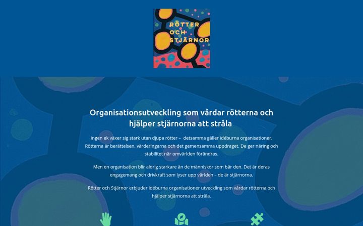 Zrzut ekranu rotterochstjarnor.se