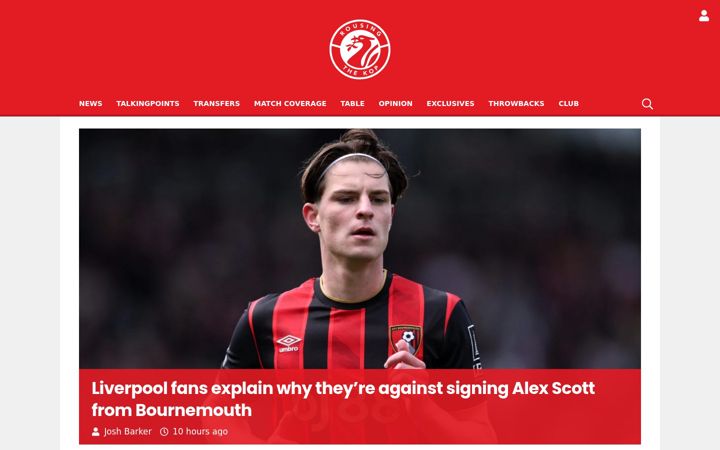 Screenshot of rousingthekop.com