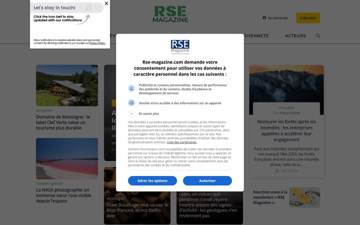 Screenshot of rse-magazine.com