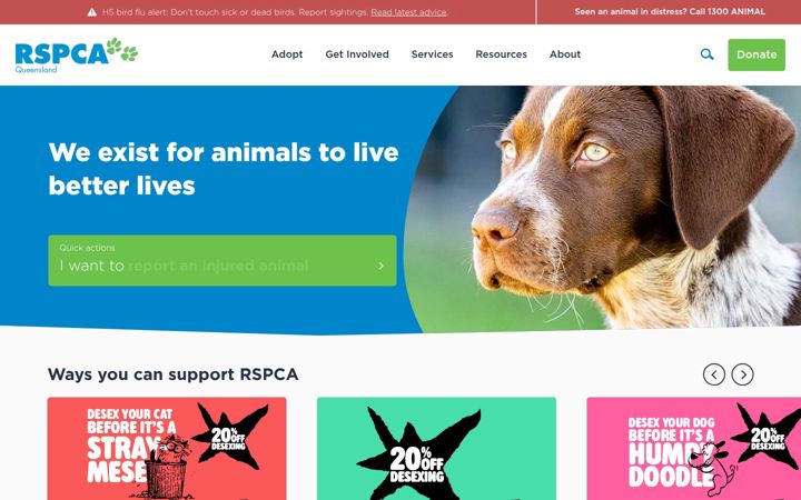 Screenshot of rspcaqld.org.au