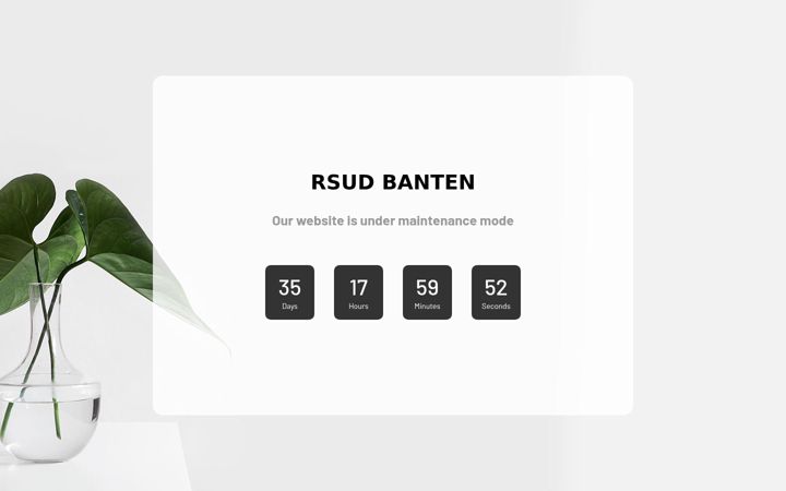 Screenshot von rsudbanten.id