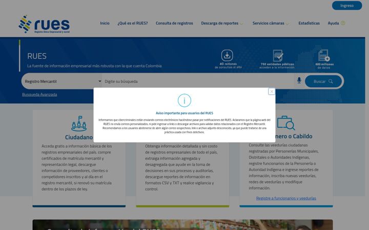 Screenshot of rues.org.co