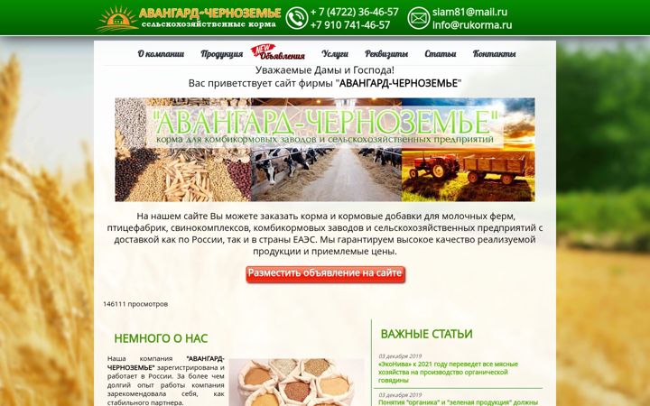 Screenshot of rukorma.ru