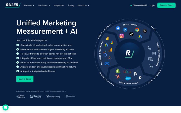 Screenshot ta' ruleranalytics.com