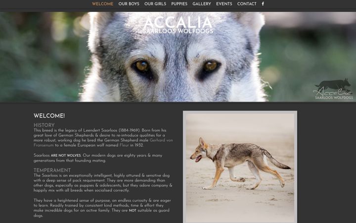 Screenshot of saarloos-wolfdog.com