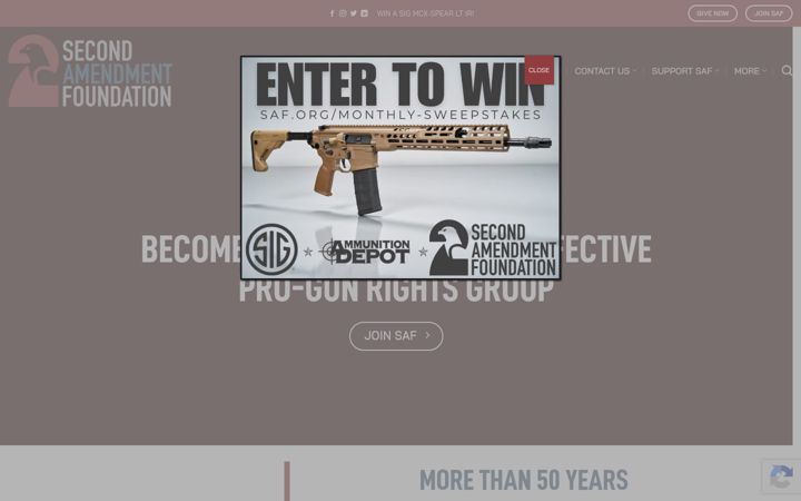 Screenshot of saf.org