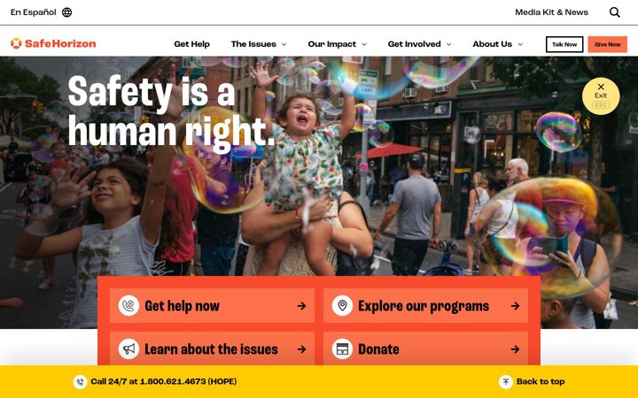 Screenshot stránky safehorizon.org