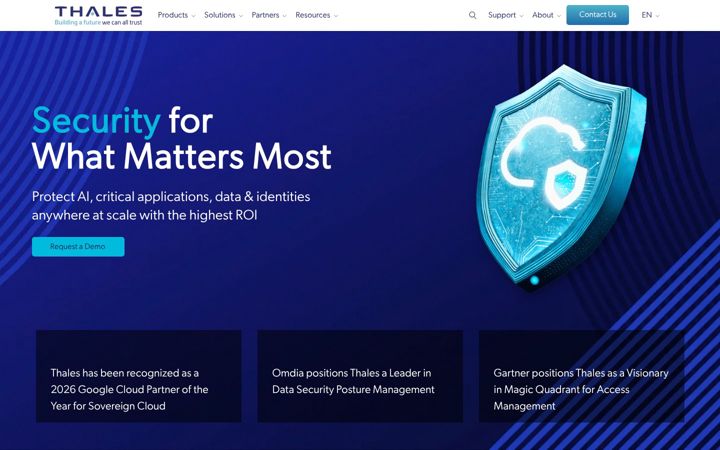 Screenshot of safenet-inc.com