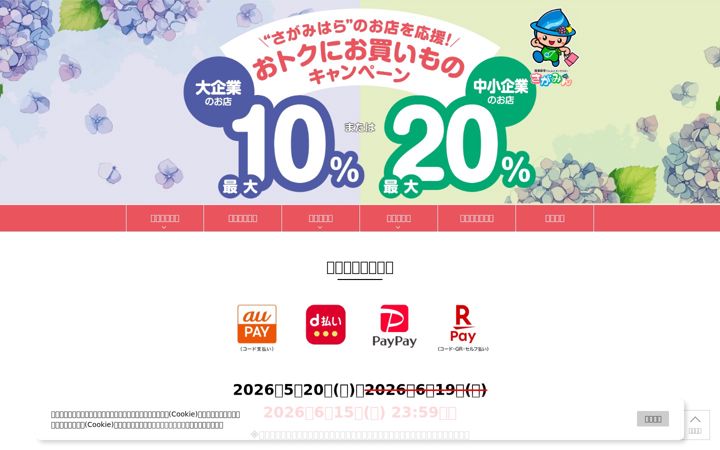 Screenshot of sagamihara-cashless.jp