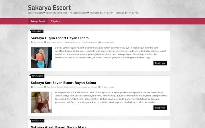 Screenshot of sakaryareklam.com