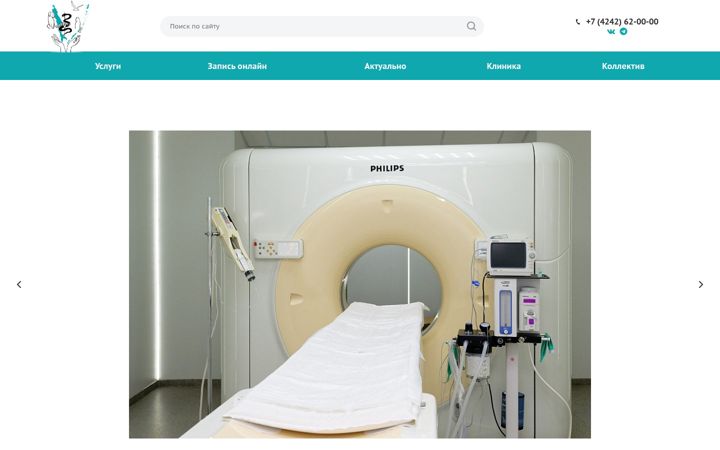 Screenshot of sakhvet.ru