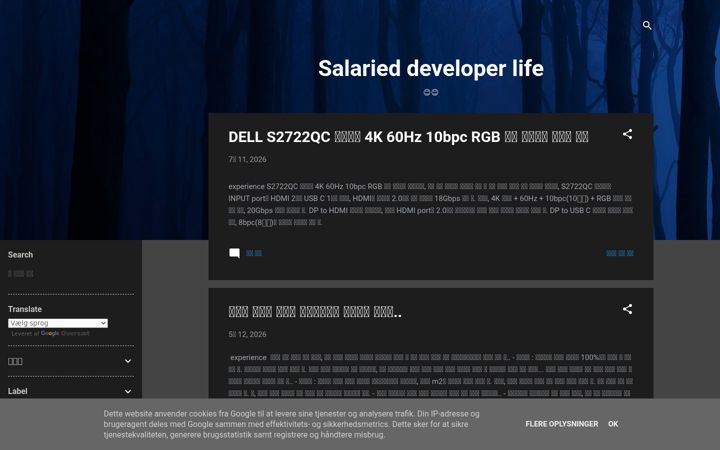 salaried-developer.com