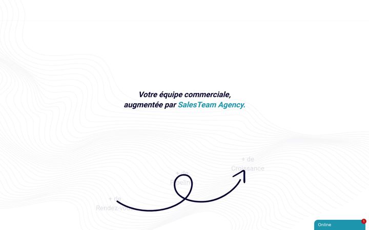 Screenshot of salesteam.agency