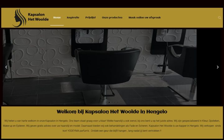 Snímek obrazovky salonhetwoolde.nl