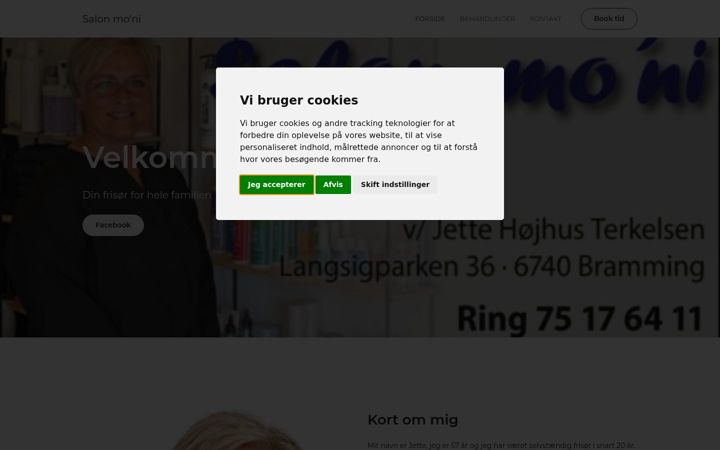 Screenshot ta' salonmoni.dk