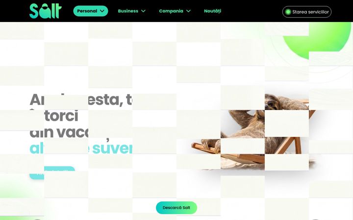 Screenshot of salt.bank