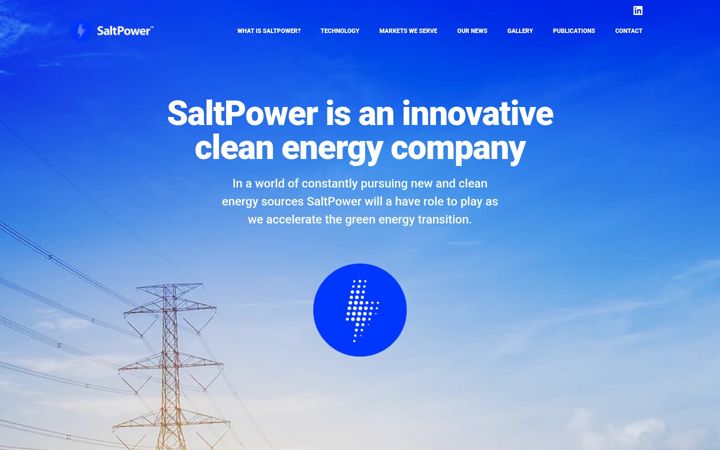 Screenshot of saltpower.net