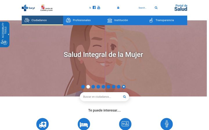 saludcastillayleon.es