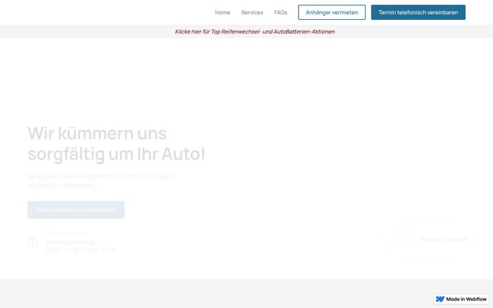 Snímek obrazovky samservice.at