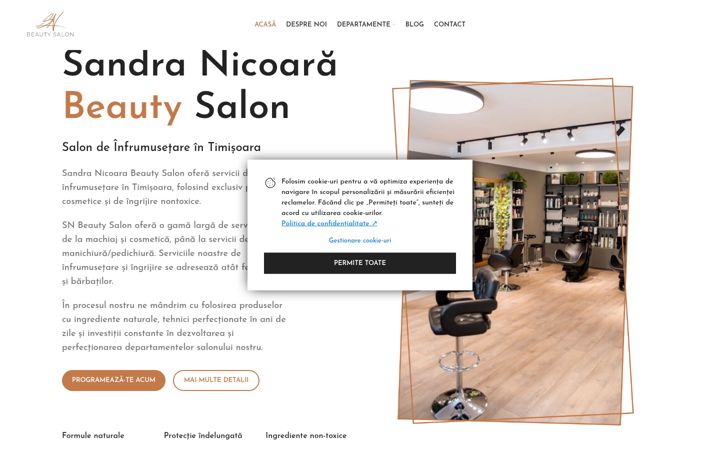Screenshot of sandranicoara.ro
