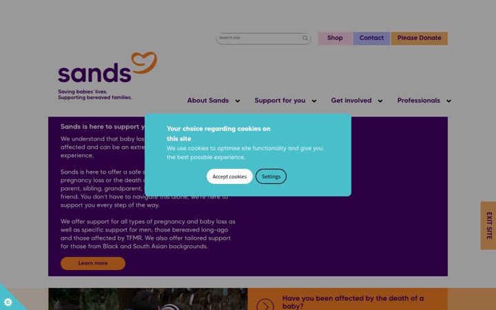 Screenshot of sands.org.uk
