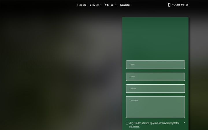 Zrzut ekranu sanera.dk