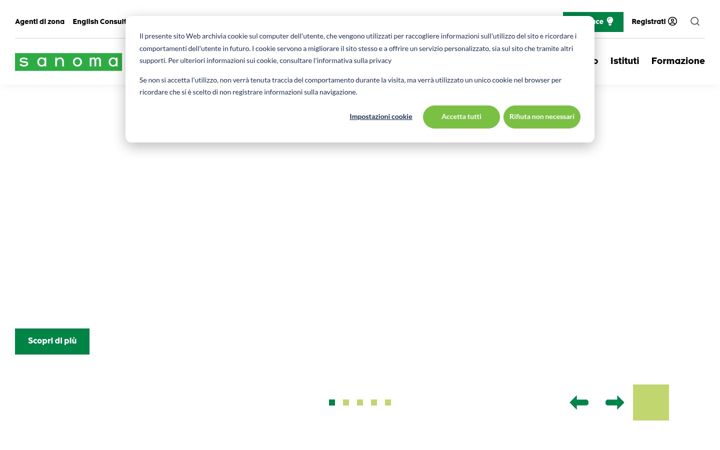 Screenshot of sanoma.it
