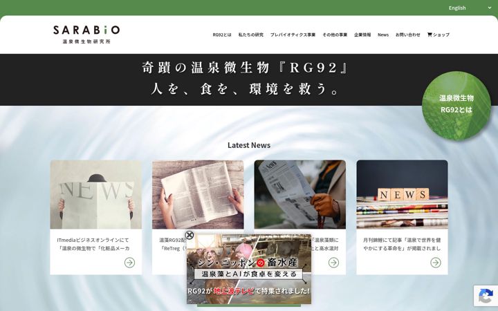 Screenshot ta' saravio.jp