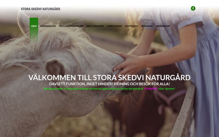 Skjámynd af saresgroup.se