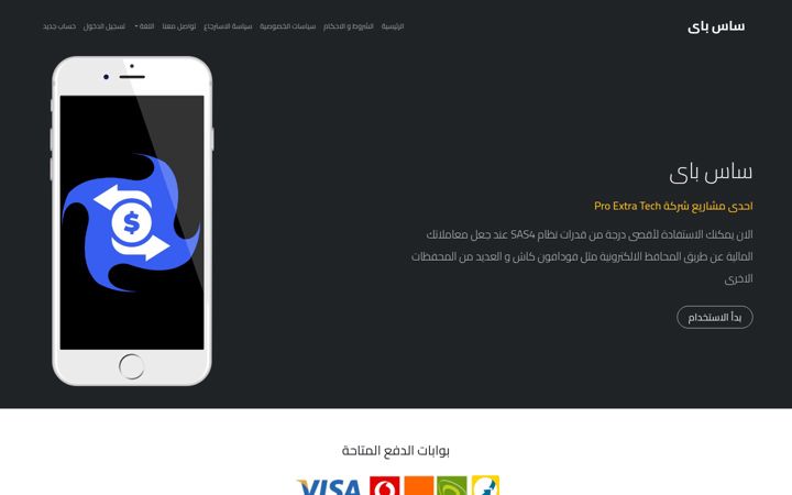 Screenshot of sas-pay.com