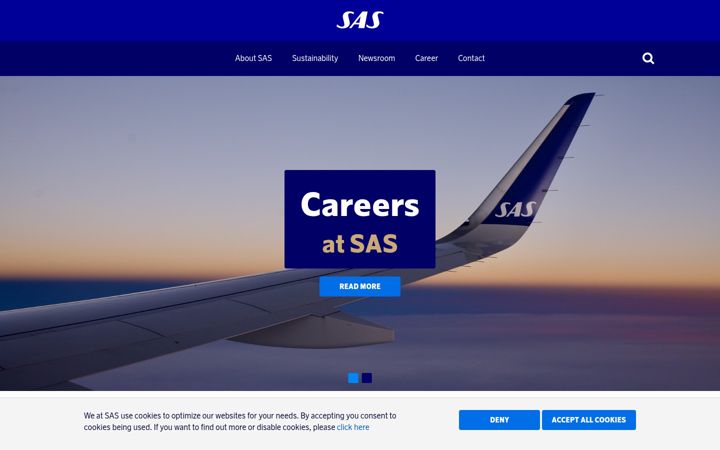 Screenshot of sasgroup.net