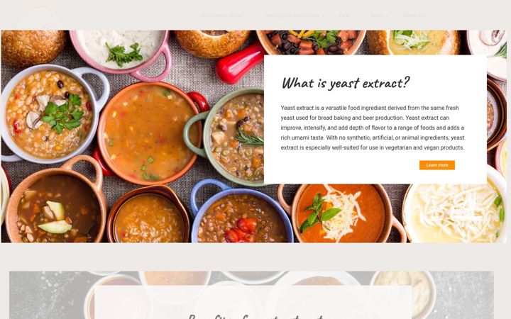 Screenshot ta' savorytastealliance.org