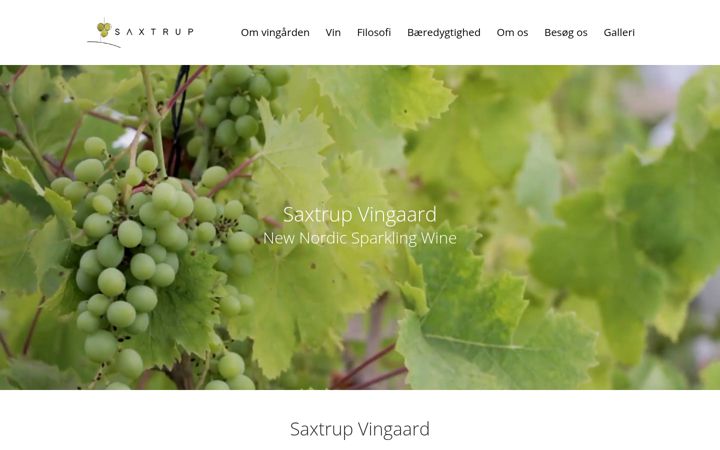 Screenshot of saxtrup.dk