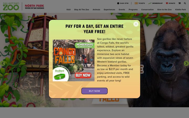 Screenshot of sazoo.org
