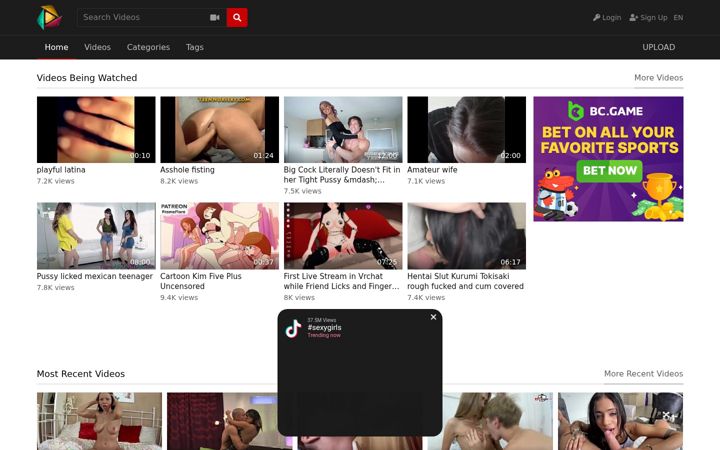 Screenshot of scarletnoirex.com