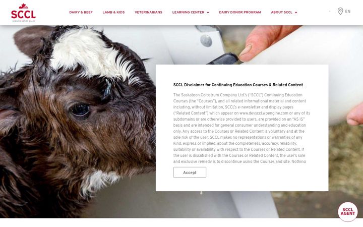 Screenshot of sccl.com
